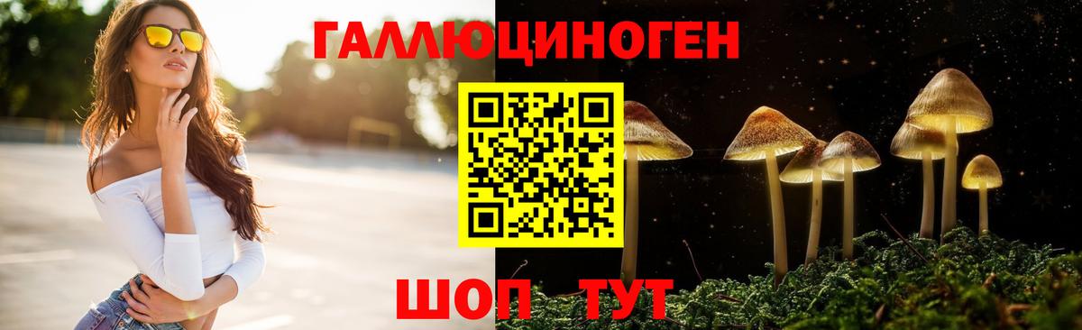 купить наркотики цена  Вход с VPN  Будённовск  Галлюциногенные грибы Magic Shrooms  Галлюциногенные грибы мицелий 